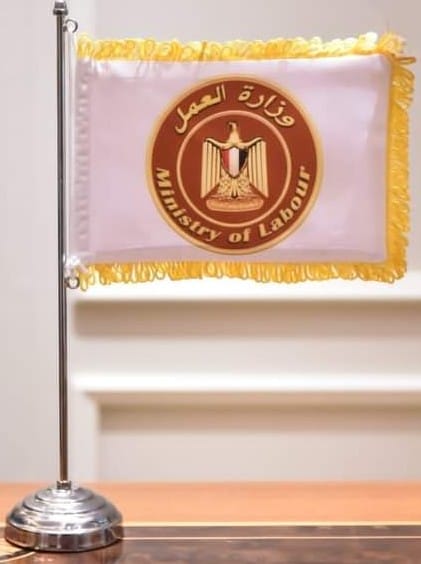 وزير القوى العامله 